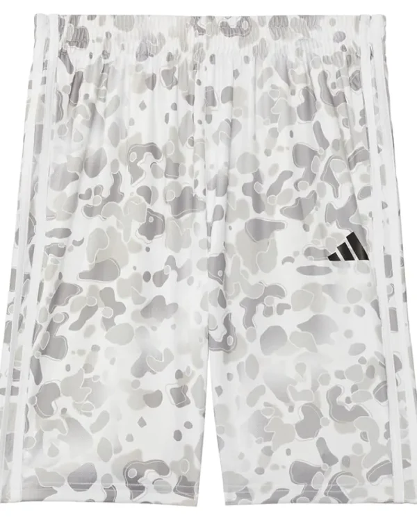 adidas Kids Shorts<AOP Camo Short S24(Big Kid) Black