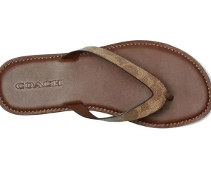 COACH Flats<Brianna Flip Flop In Signature Canvas Brown