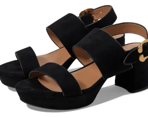 Aerosoles Heels<Camera Black Suede
