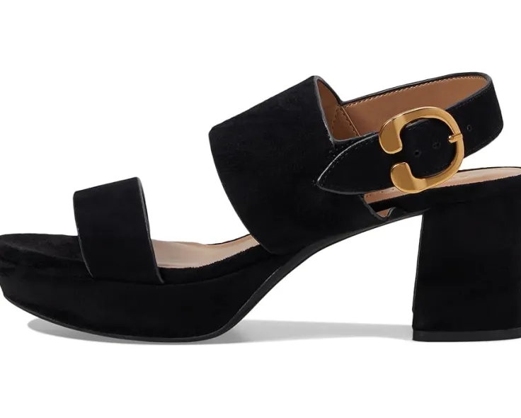 camera_3.webp Aerosoles Heels<Camera Black Suede