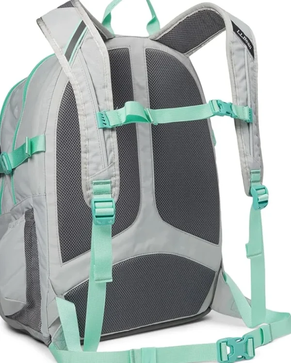 L.L.Bean Bags | Backpacks<Comfort Carry Portable Locker 42 L Gray Pebble/Fresh Mint