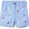 Janie and Jack Shorts<Embroidered Short (Toddler/Little Kids/Big Kids) Multicolor