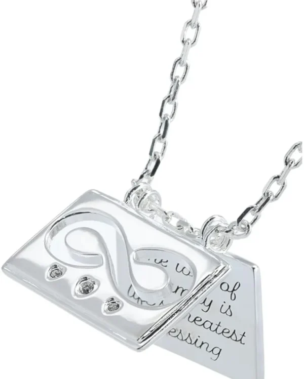 Alex and Ani Jewelry<Family and Infinity Flip Charm Adjustable Necklace Shiny Silver