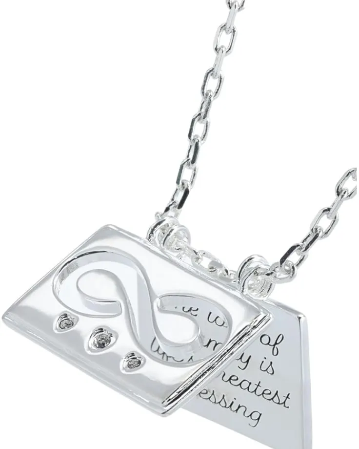 family_and_infinity_flip__2.webp Alex and Ani Jewelry<Family and Infinity Flip Charm Adjustable Necklace Shiny Silver