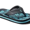 Reef Kids Sandals<Kids Ahi (Little Kid/Big Kid) Aquifer Palm