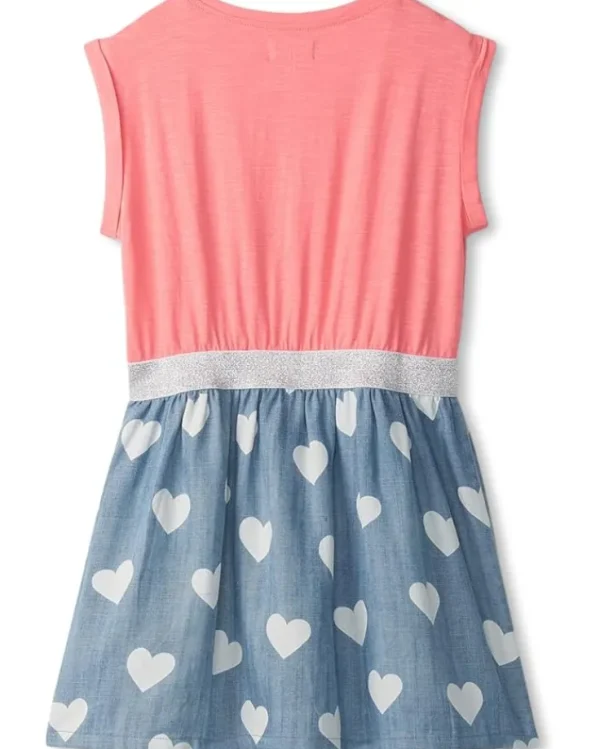 Hatley Kids Dresses<Love Elastic Waist Dress (Toddler/Little Kid/Big Kid) Salmon Rose