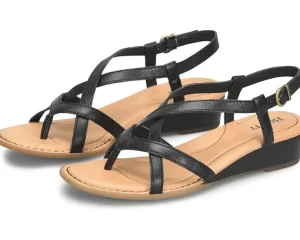 Born Comfort<Sibyl Black