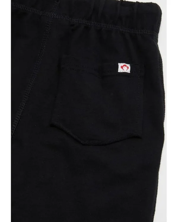 Appaman Kids Camp Shorts (Toddler/Little Kids/Big Kids) | Kids/BOY Shorts
