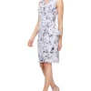 Alex Evenings Sleeveless Printed Dress | Women Plus Size