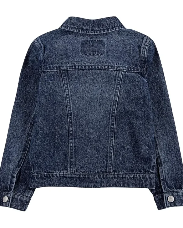 Levi's® Kids Trucker Jacket (Toddler) | Kids Coats & Jackets